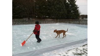 My doggy loves the ice too!