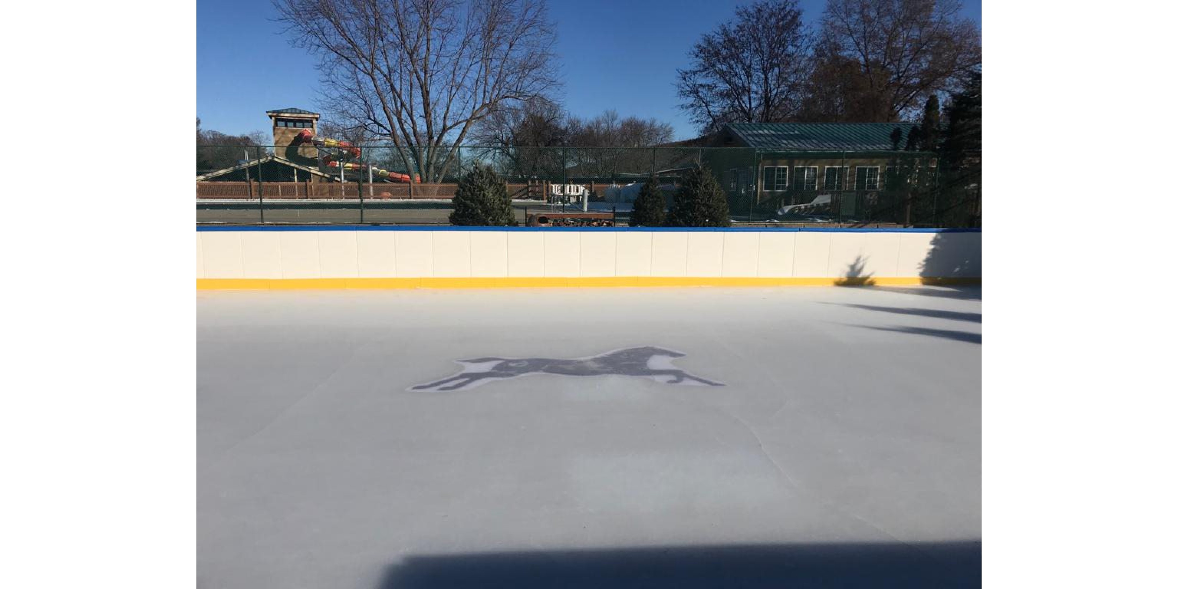 Rink on a Ranch